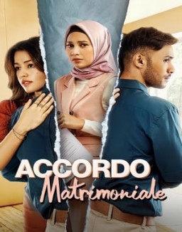 Accordo Matrimoniale guarda serie streaming