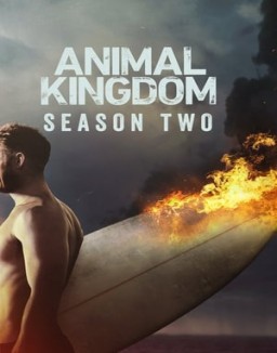 Animal Kingdom Stagione  2 streaming