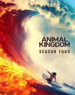 Animal Kingdom Stagione  4 streaming