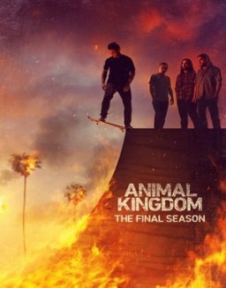 Animal Kingdom guarda serie streaming