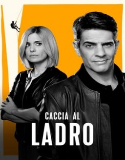 Caccia al ladro guarda serie streaming