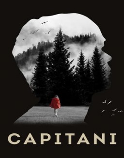 Capitani Stagione  1 streaming