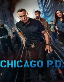 Chicago P.D. Stagione  1 streaming