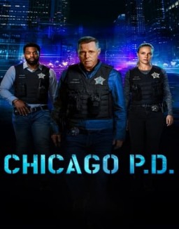 Chicago P.D. Stagione  11 streaming