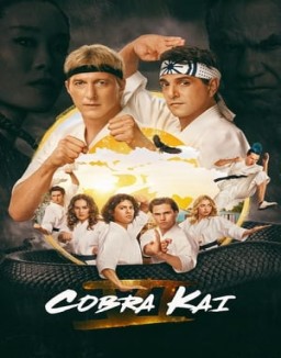 Cobra Kai Stagione  1 streaming