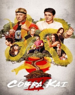 Cobra Kai Stagione  3 streaming