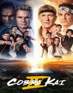 Cobra Kai Stagione  4 streaming