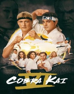 Cobra Kai guarda serie