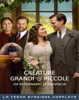 Creature grandi e piccole - Un veterinario di provincia Stagione  3 streaming