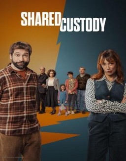 Shared Custody guarda serie streaming